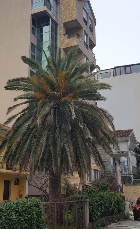 Apartman Centar Lux Budva Zewnętrze zdjęcie